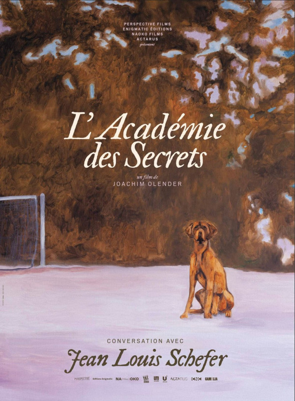 Affiche L'Académie des secrets