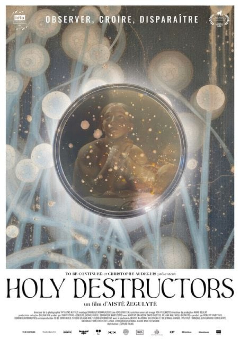 Affiche du film Holy Destructors