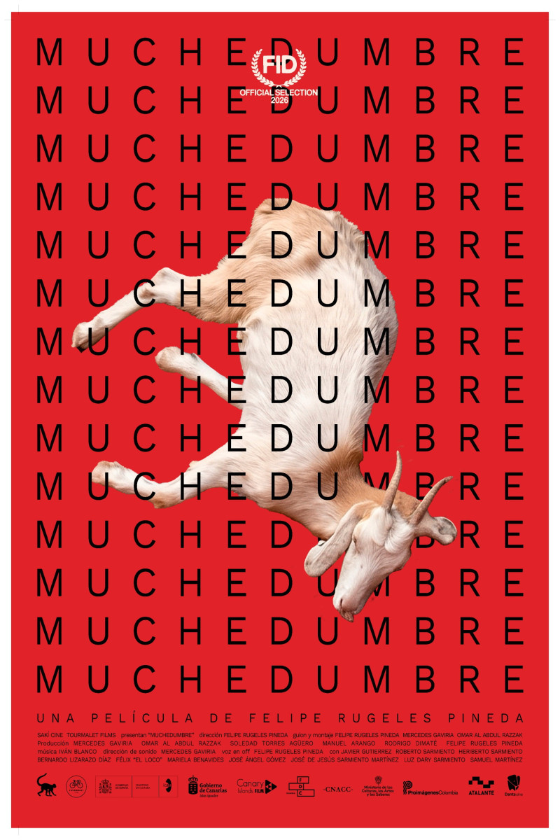 Affiche du film Muchedumbre