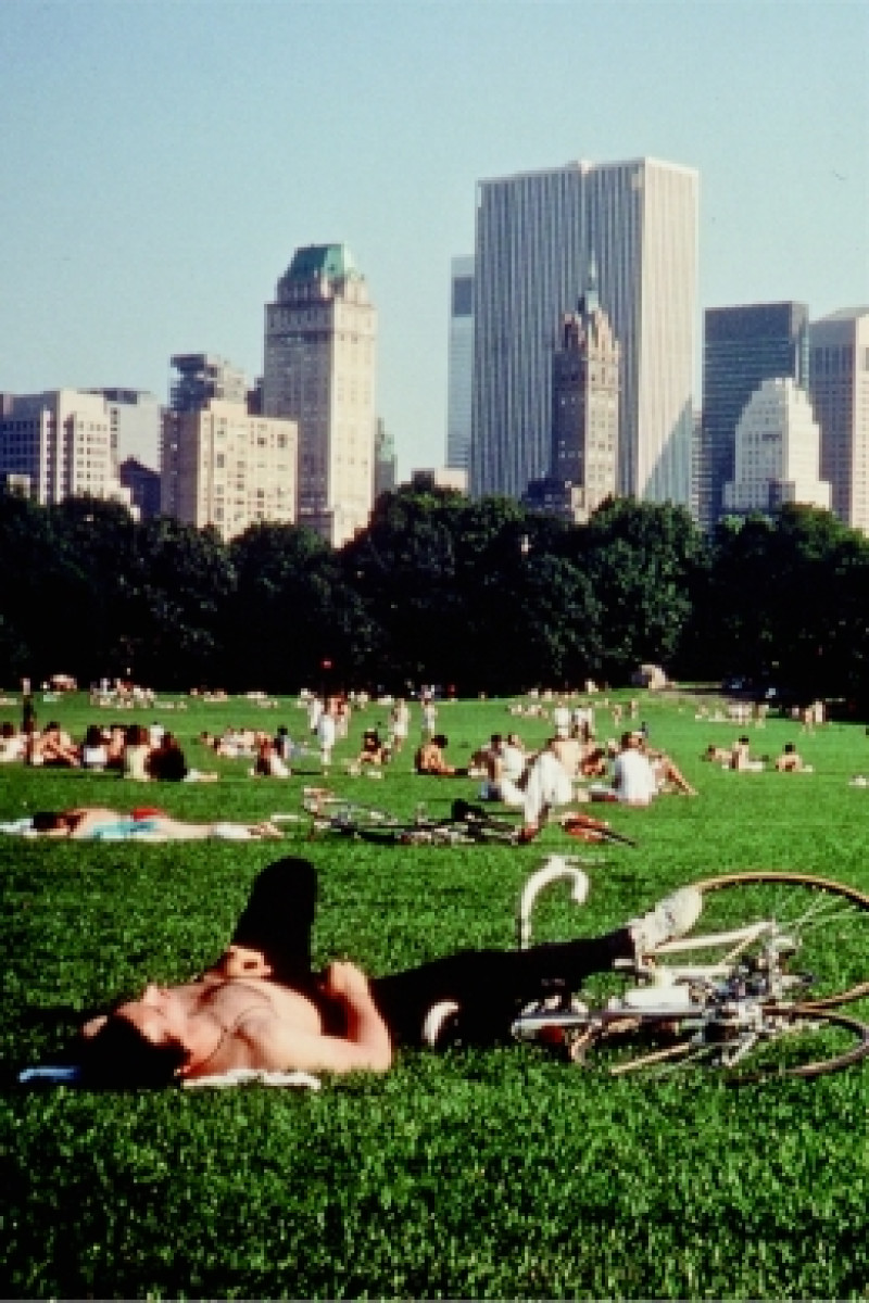 Affiche du film Central Park