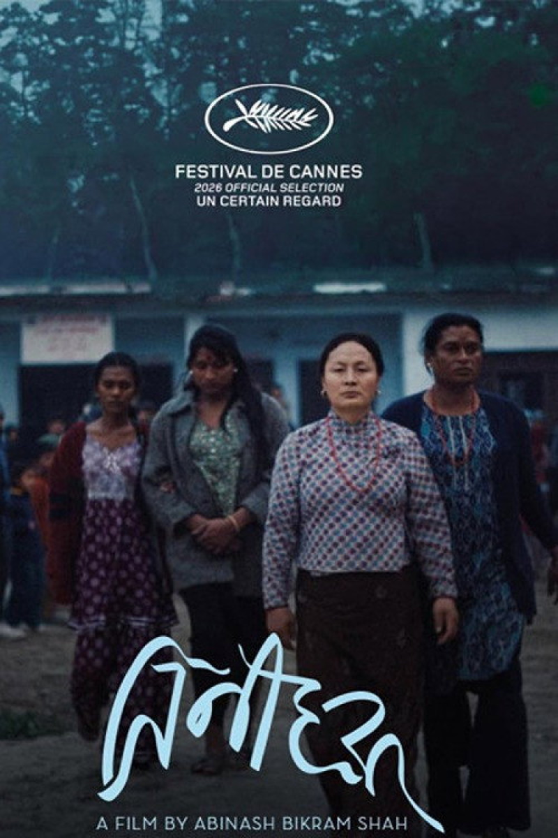 Affiche du film Les Elephants dans la brume