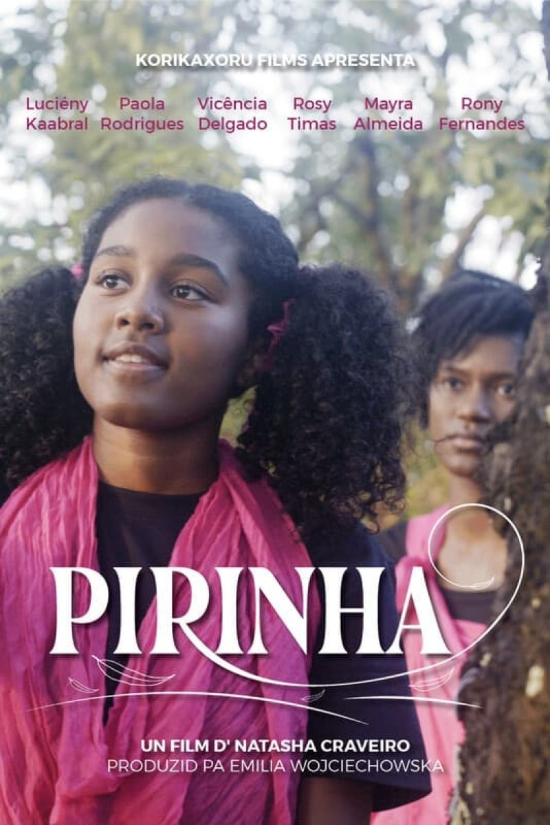 Affiche du film Pirinha
