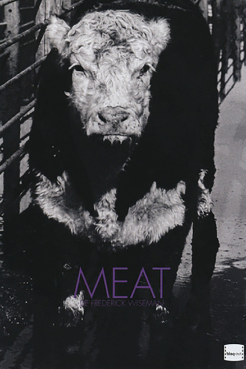 Affiche du film Meat