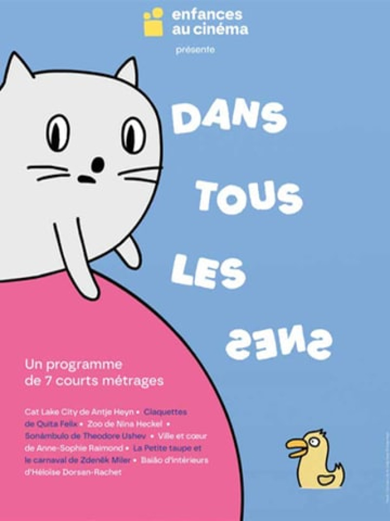 Affiche du film Dans tous les sens