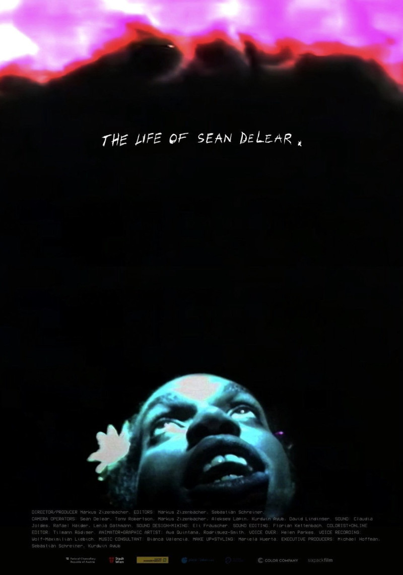 Affiche du film The Life of Sean DeLear