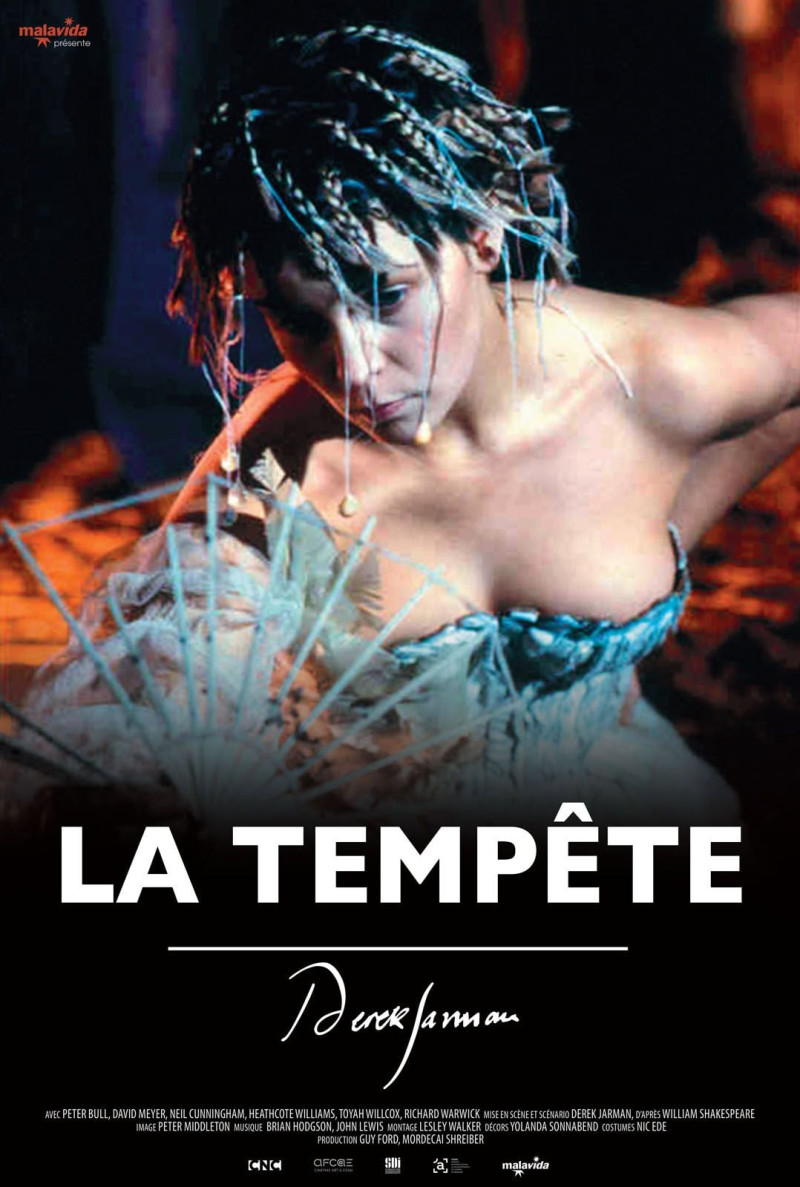 Affiche du film La Tempête