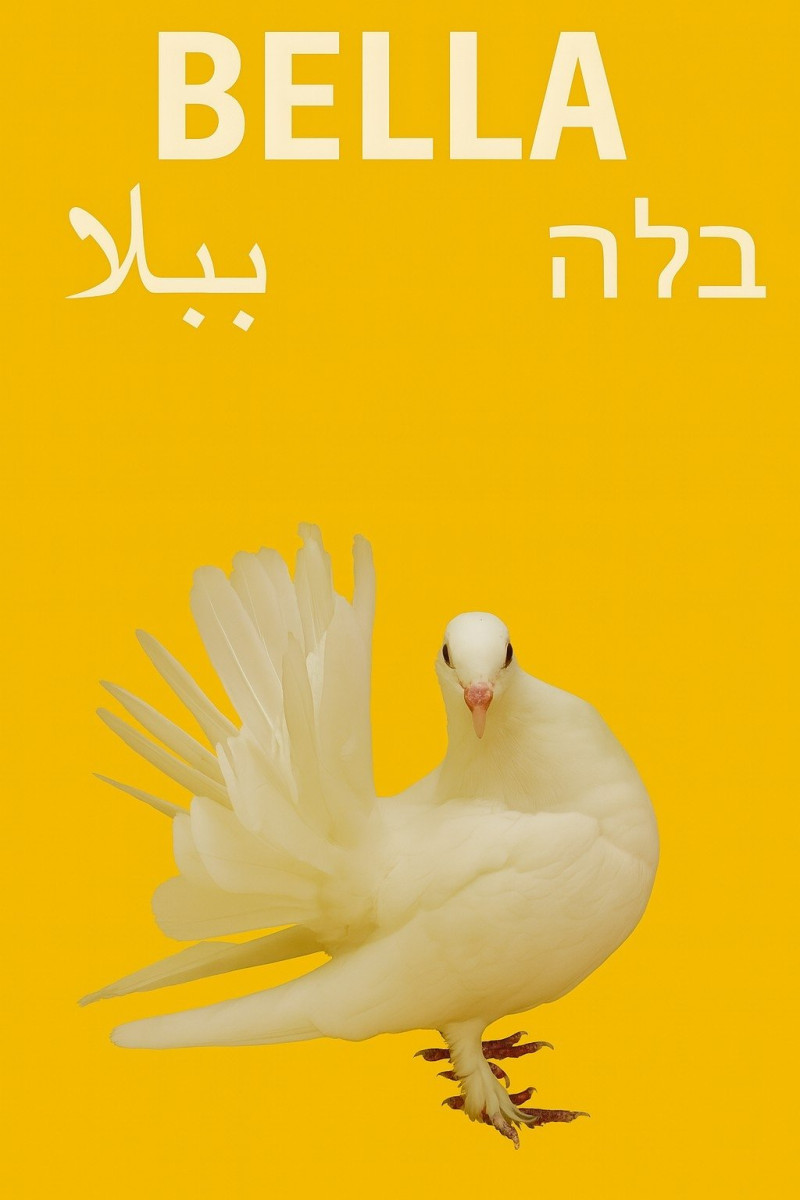 Affiche du film Bella