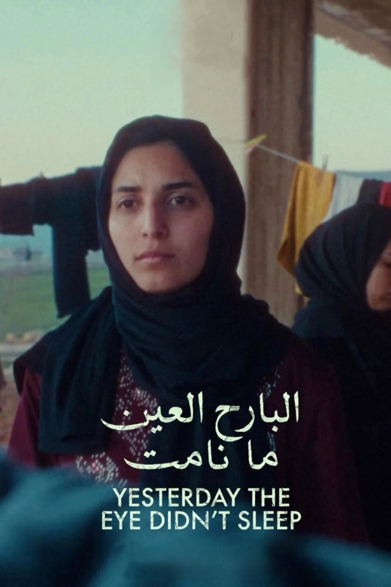 Affiche du film Une disparition