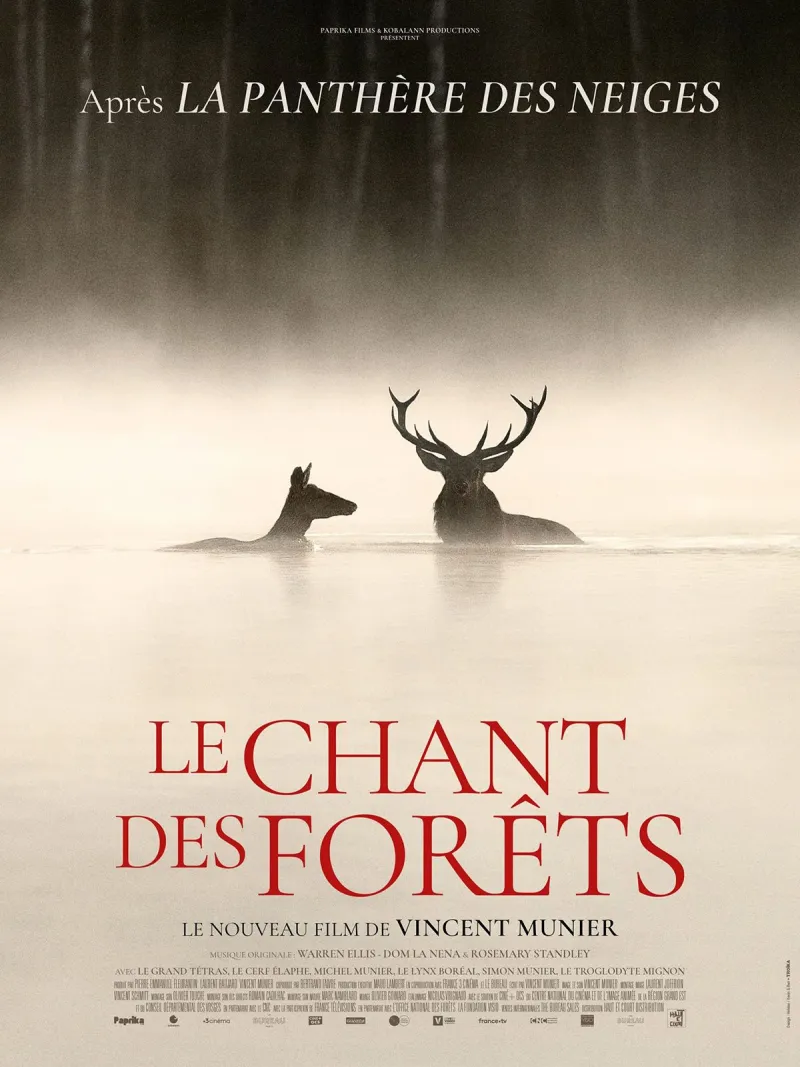 Le Chant des for&ecirc;ts