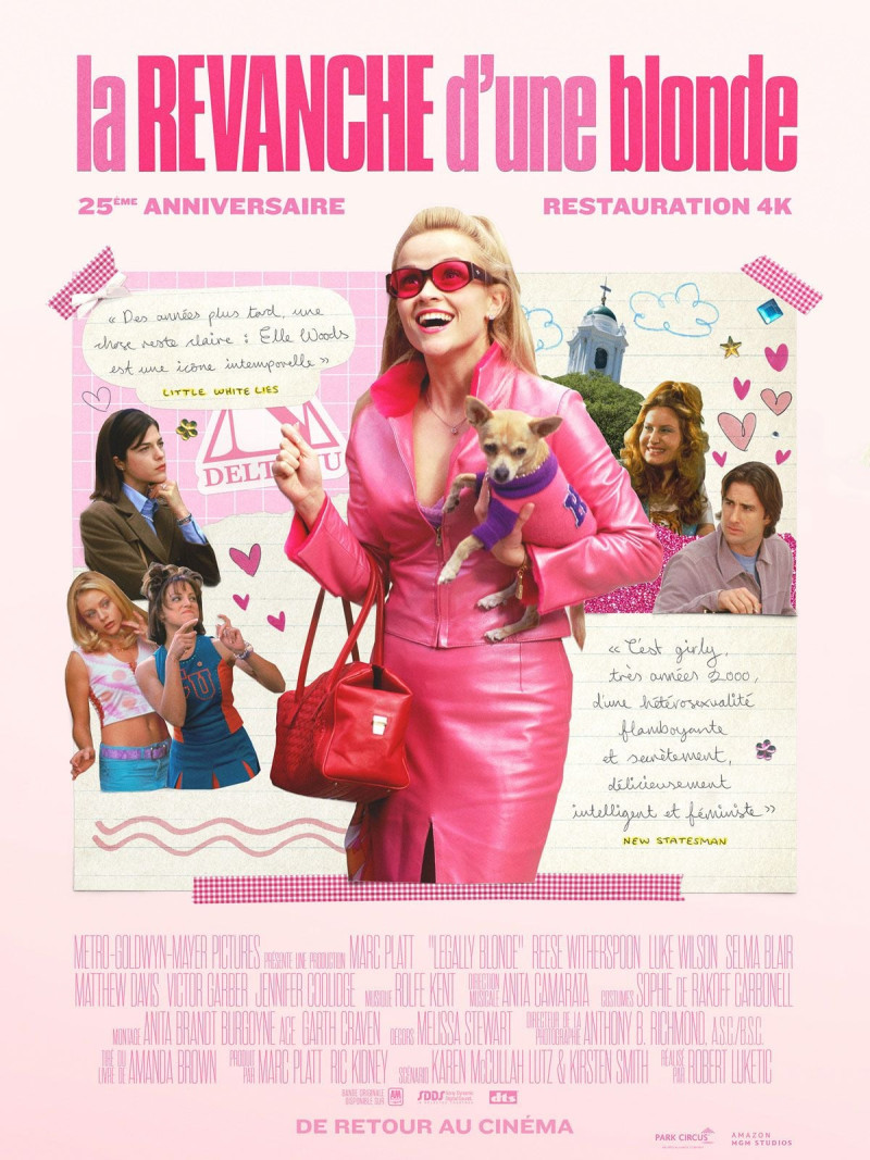 Affiche du film La Revanche d'une blonde