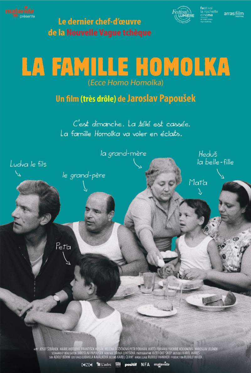 Affiche du film La Famille Homolka